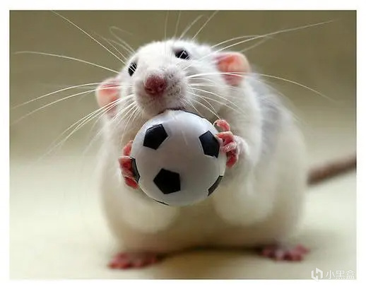 为什么经常熬夜容易患癌？最新研究找到了致癌原因