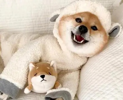 【球盟会】熬夜后补觉没意义？科学研究告诉你答案！