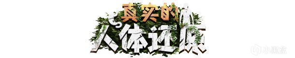 【PC游戏】被困荒岛野外求生？来体验极度真实的荒野世界-第8张