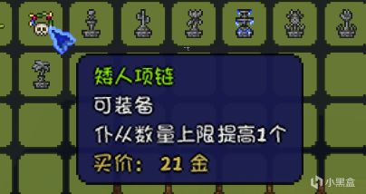 【PC遊戲】泰拉瑞亞適合萌新的召喚師開荒全流程（1）-第43張