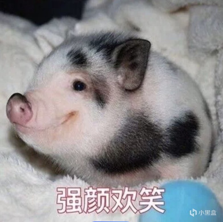 烹饪盘点之猪猪身上的各种肉肉