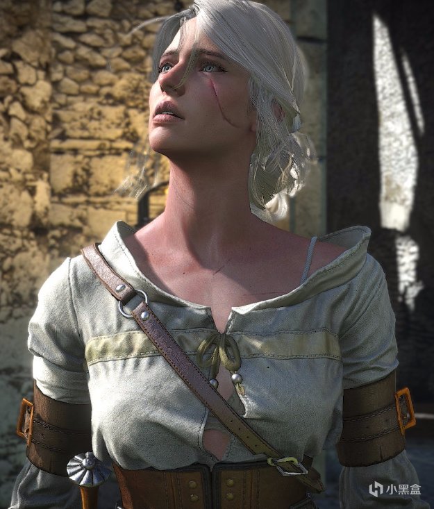 谁是你最喜欢的女角色（巫师3：狂猎）
