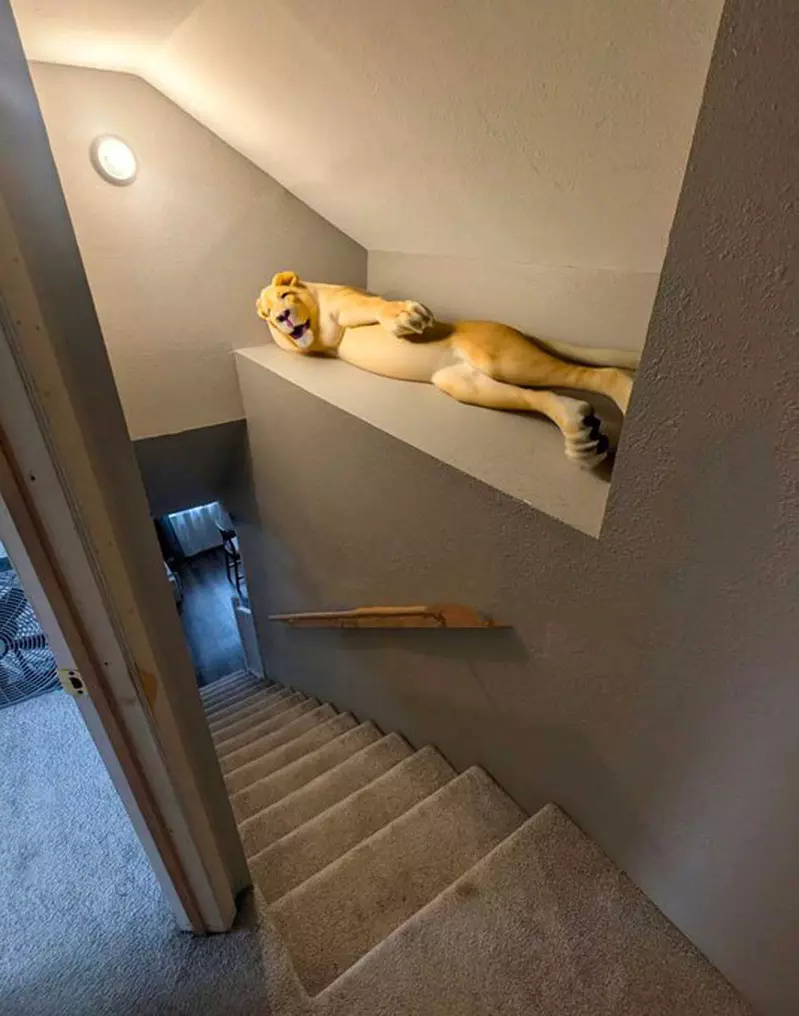 该怎么利用这里的空间？各路网友展神通！