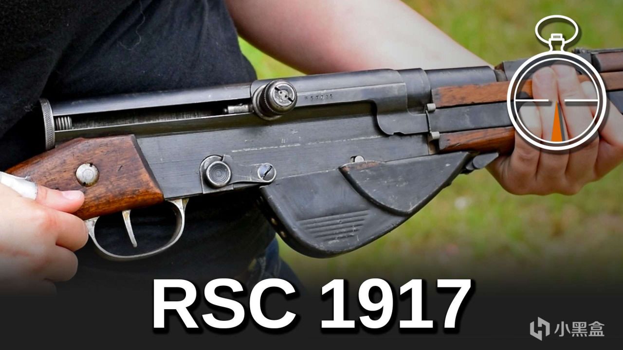 投票简读一战史 28 RSC半自动步枪-第1张