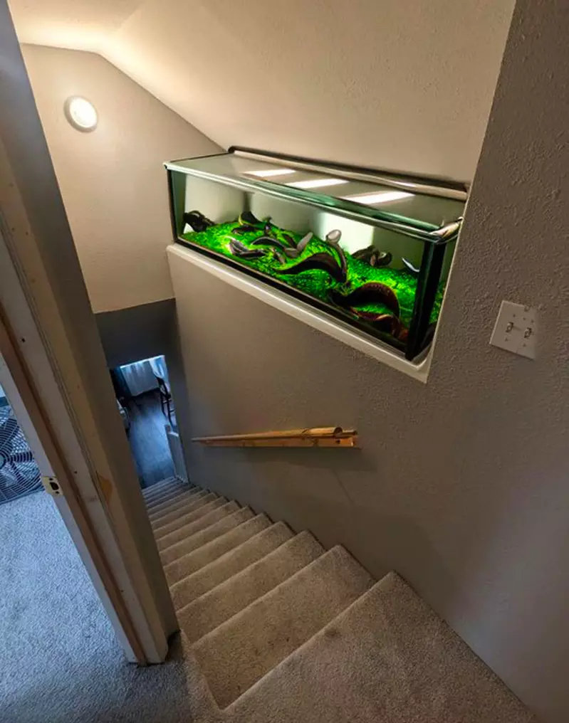 该怎么利用这里的空间？各路网友展神通！