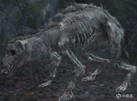 【球盟会】那些令人恶心的怪物（黑暗之魂三）