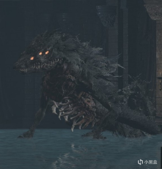 【球盟会】那些令人恶心的怪物（黑暗之魂三）