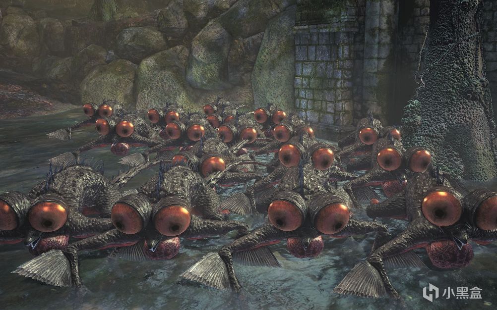 【球盟会】那些令人恶心的怪物（黑暗之魂三）