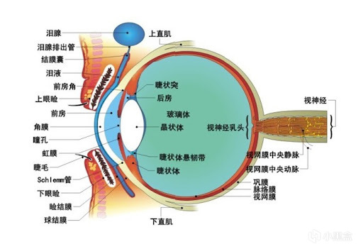 其实我们都是半瞎，都有一片区域看不见-第1张