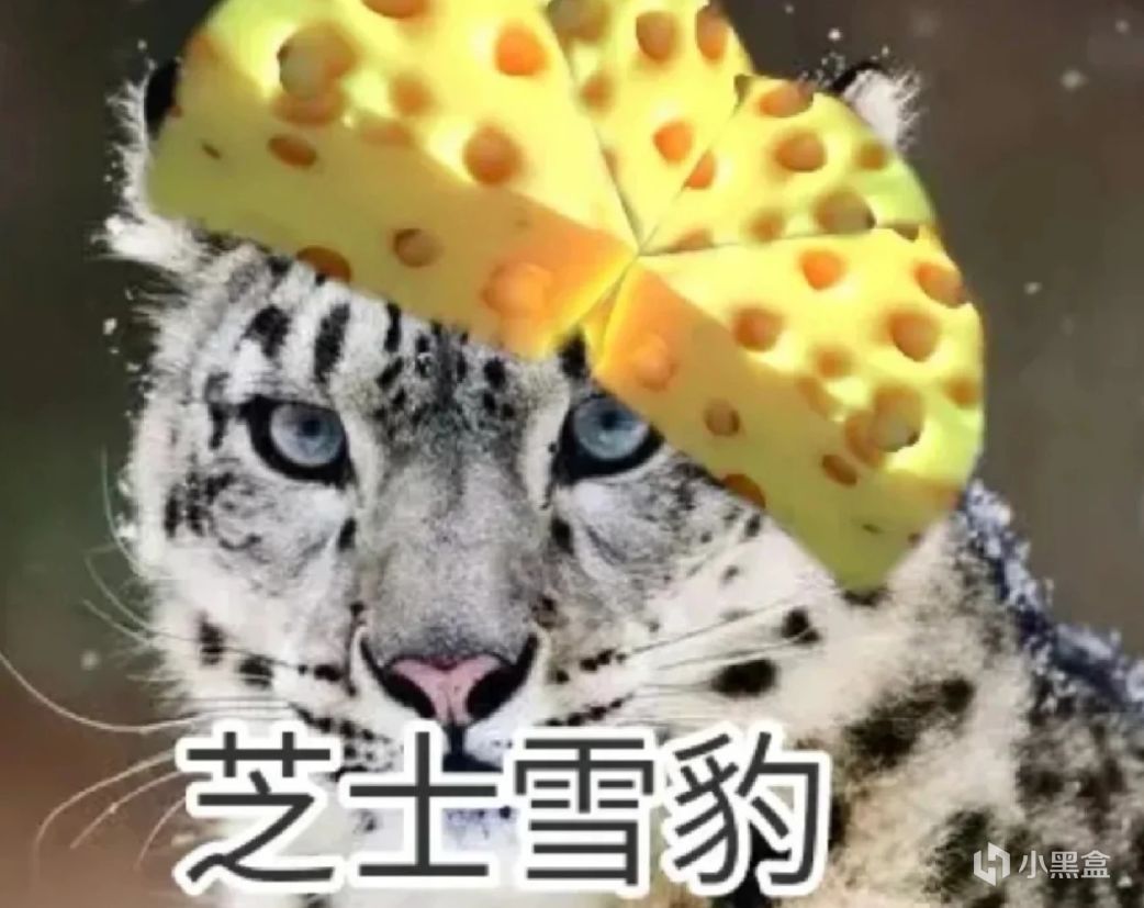 【球盟会】让G胖破例，还让我“知识学爆”，这款新品节宝藏游戏你玩了没有？