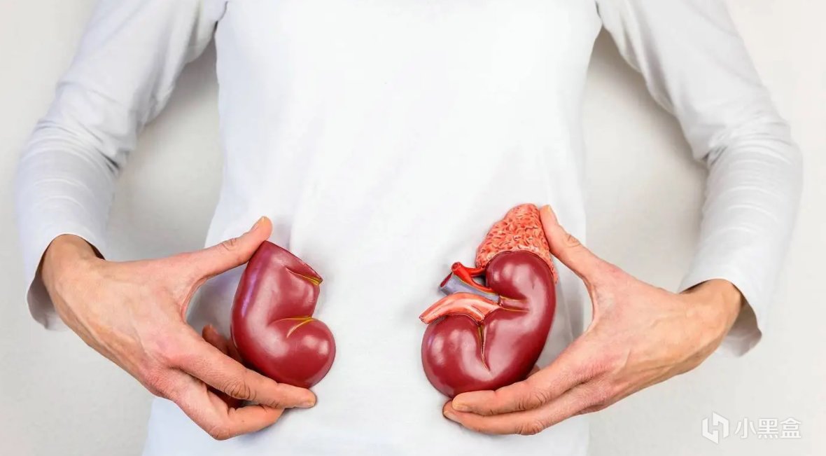 【球盟会】年轻人的身体保养指南：肾虚篇