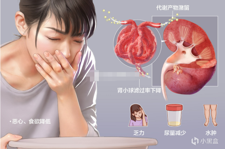 【球盟会】年轻人的身体保养指南：肾虚篇
