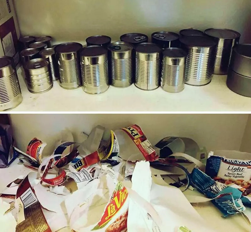 【球盟会】国外网友分享，让父母觉得「真实」的那些画面！