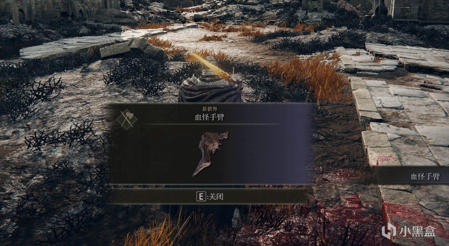 【球盟会】《艾尔登法环》DLC轮椅全收集，癫火调香瓶晋升担架流！