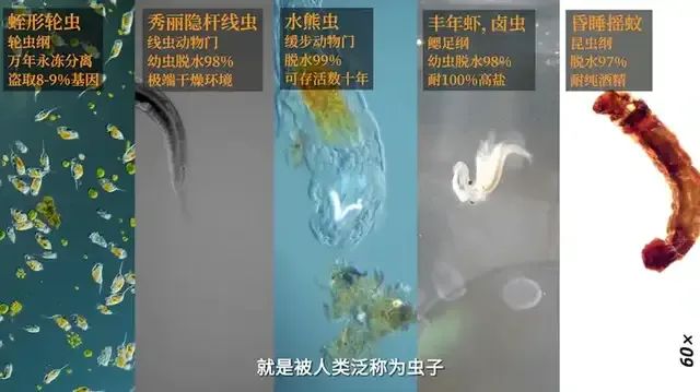 三体人到底长啥样？全网最硬核分析来了！-第1张