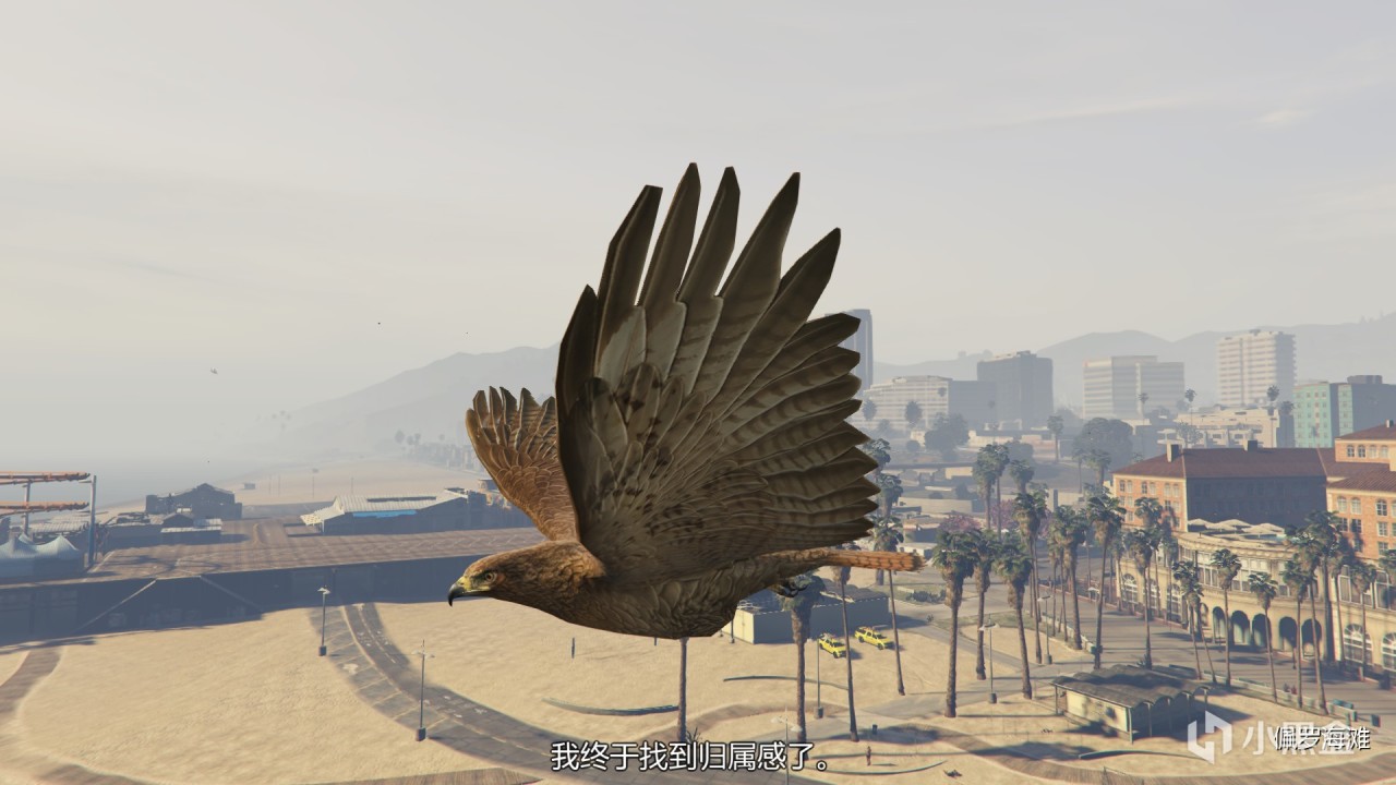 【GTA5】27个仙人掌