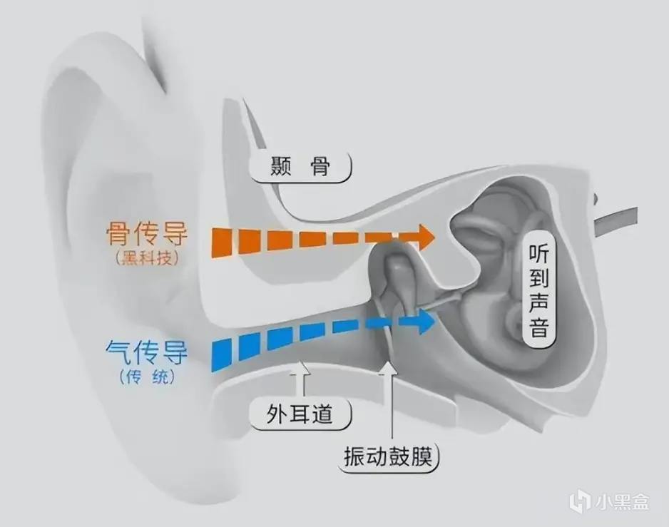 运动耳机哪个品牌好？2024五大超神精品运动耳机推荐！-第1张