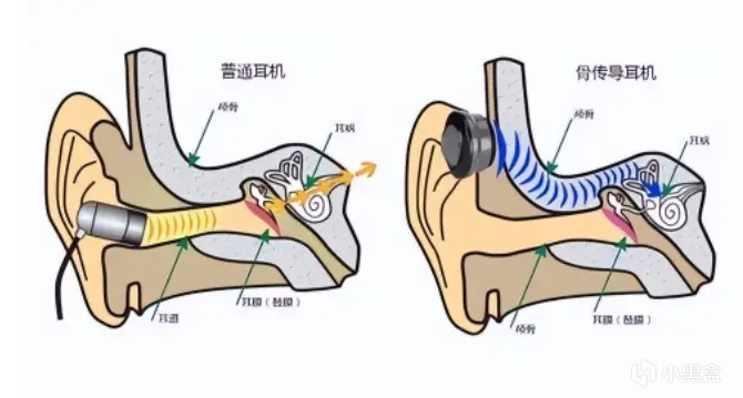 运动耳机哪个牌子的好？五大最靠谱的骨传导运动耳机合集