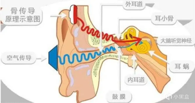 骨传导耳机哪个品牌好用？良心测评推荐5大高分骨传导耳机！-第2张