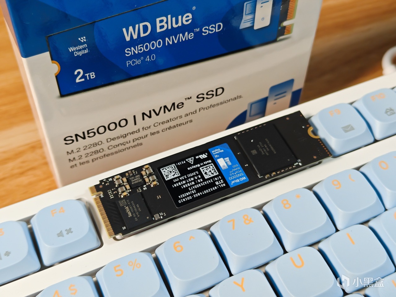 新品容量大更快又安全，創作與AI應用利器，WD Blue SN5000硬盤-第2張