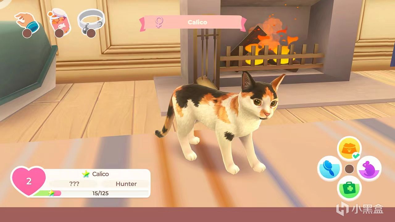 《猫咪救援物语》：打造温馨猫庇护所的家庭游戏！
