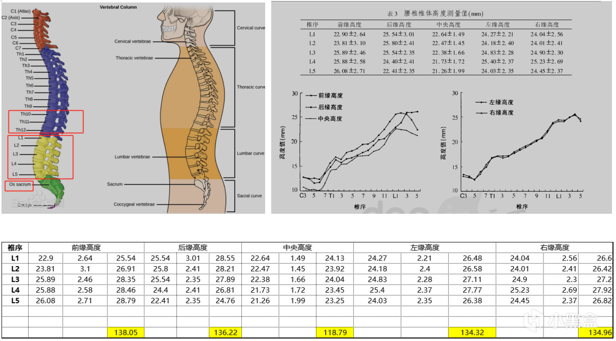 什么样的工学椅才是智商税？买对不买贵！人体工学椅双11省钱攻略