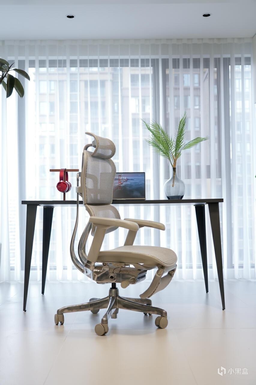 什么样的工学椅才是智商税？买对不买贵！人体工学椅双11省钱攻略