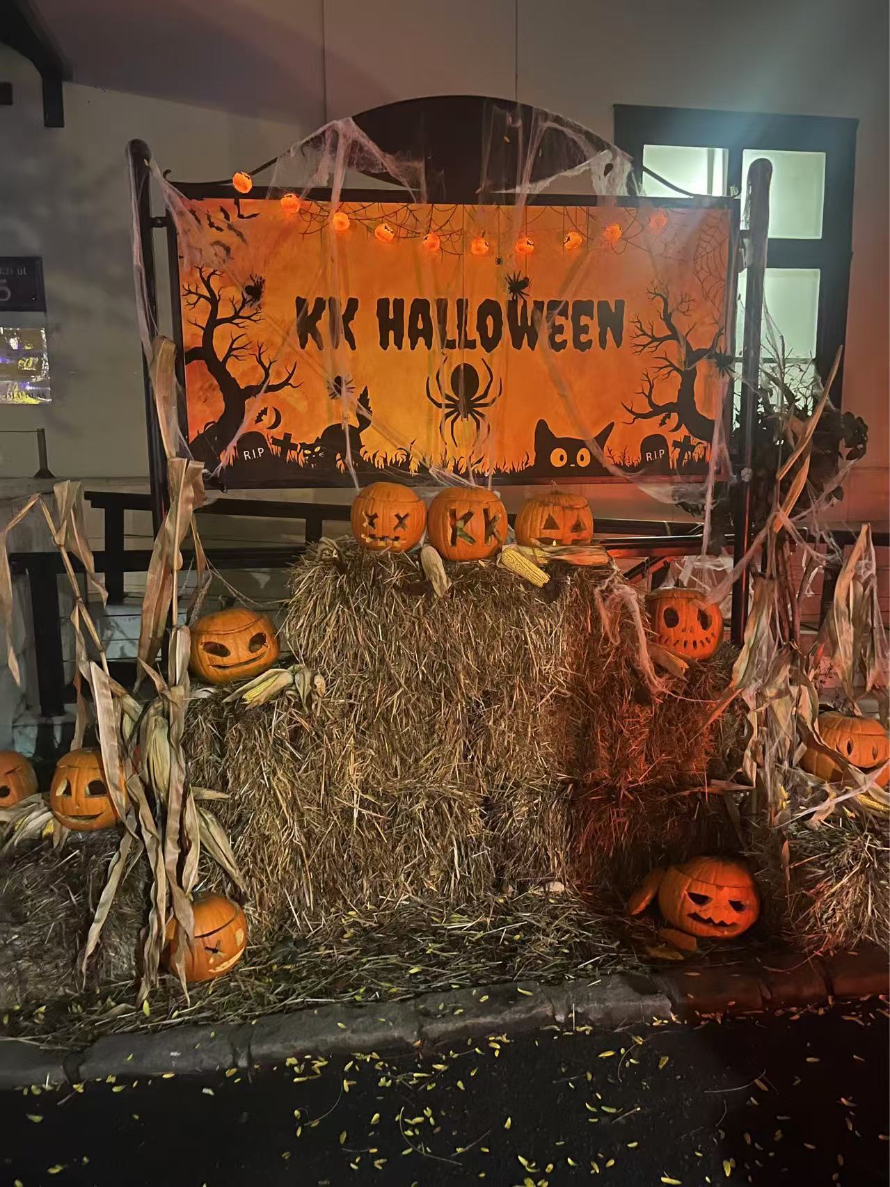 【球盟会】在万圣节的酒吧里被匈牙利妹子邀请跳舞是什么样的体验？