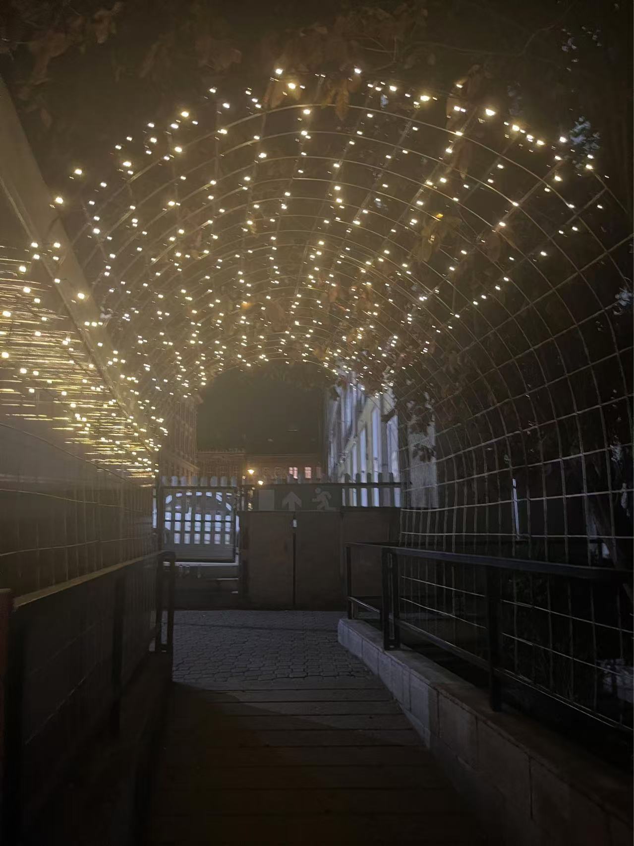 【球盟会】在万圣节的酒吧里被匈牙利妹子邀请跳舞是什么样的体验？