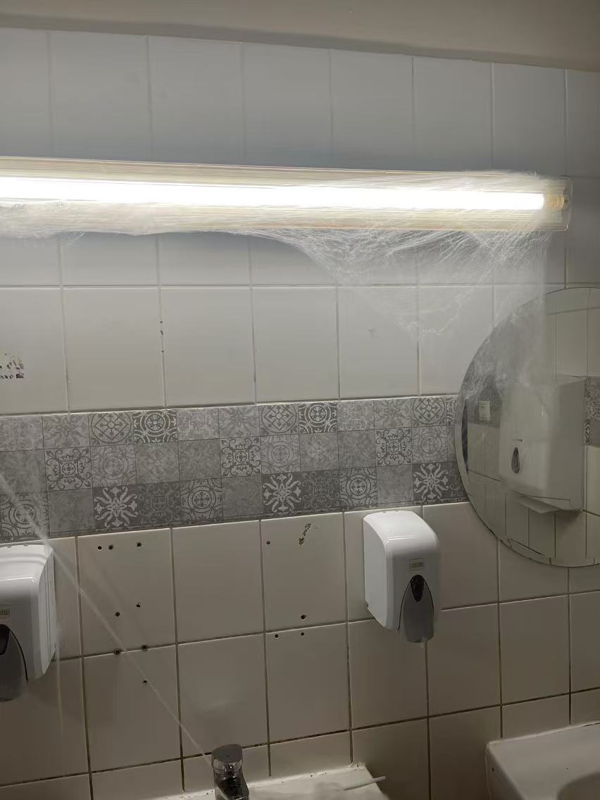 【球盟会】在万圣节的酒吧里被匈牙利妹子邀请跳舞是什么样的体验？