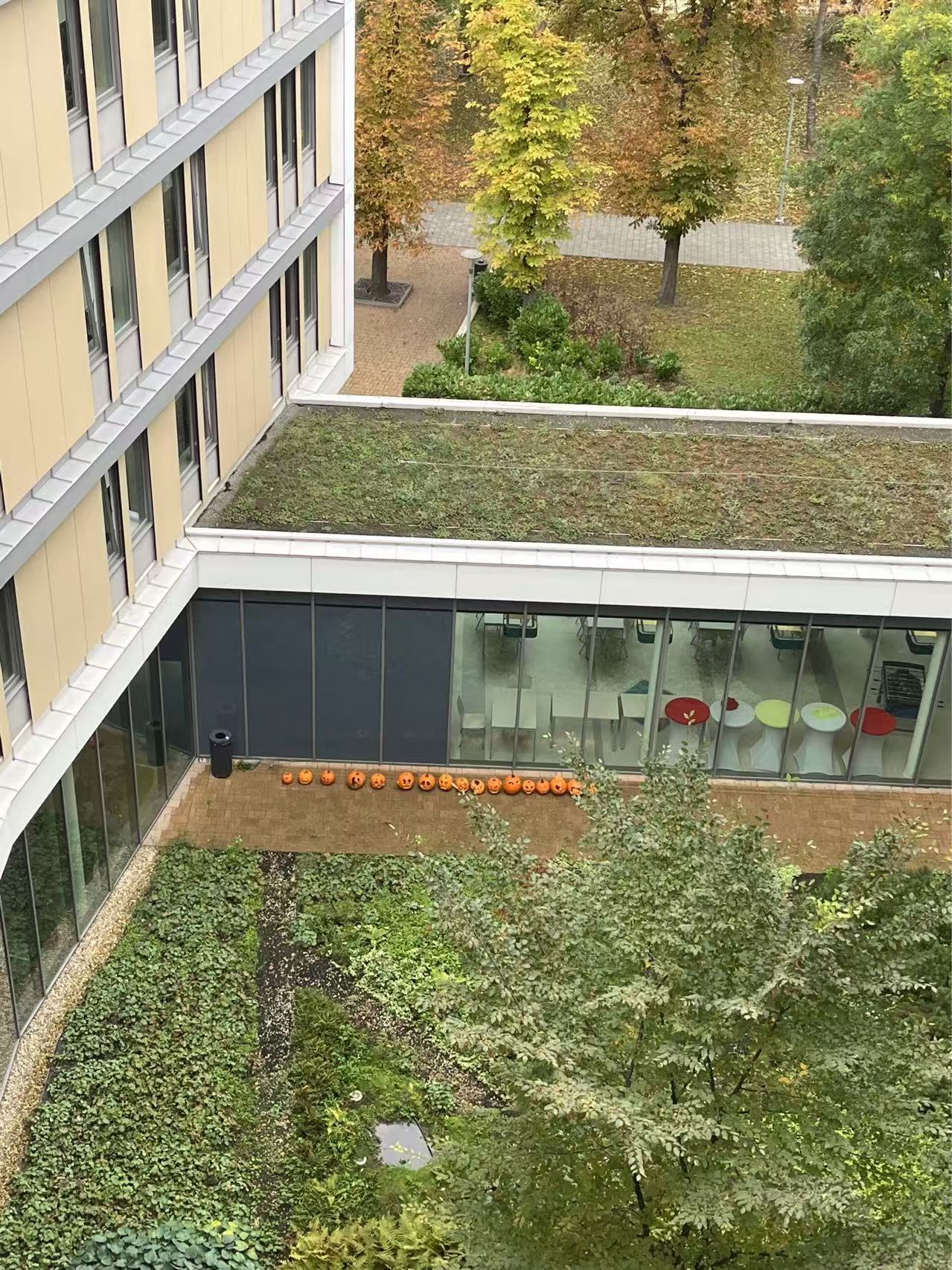 【球盟会】在万圣节的酒吧里被匈牙利妹子邀请跳舞是什么样的体验？