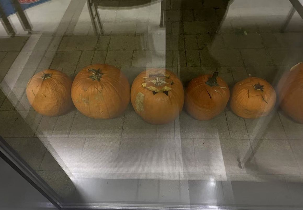 【球盟会】在万圣节的酒吧里被匈牙利妹子邀请跳舞是什么样的体验？