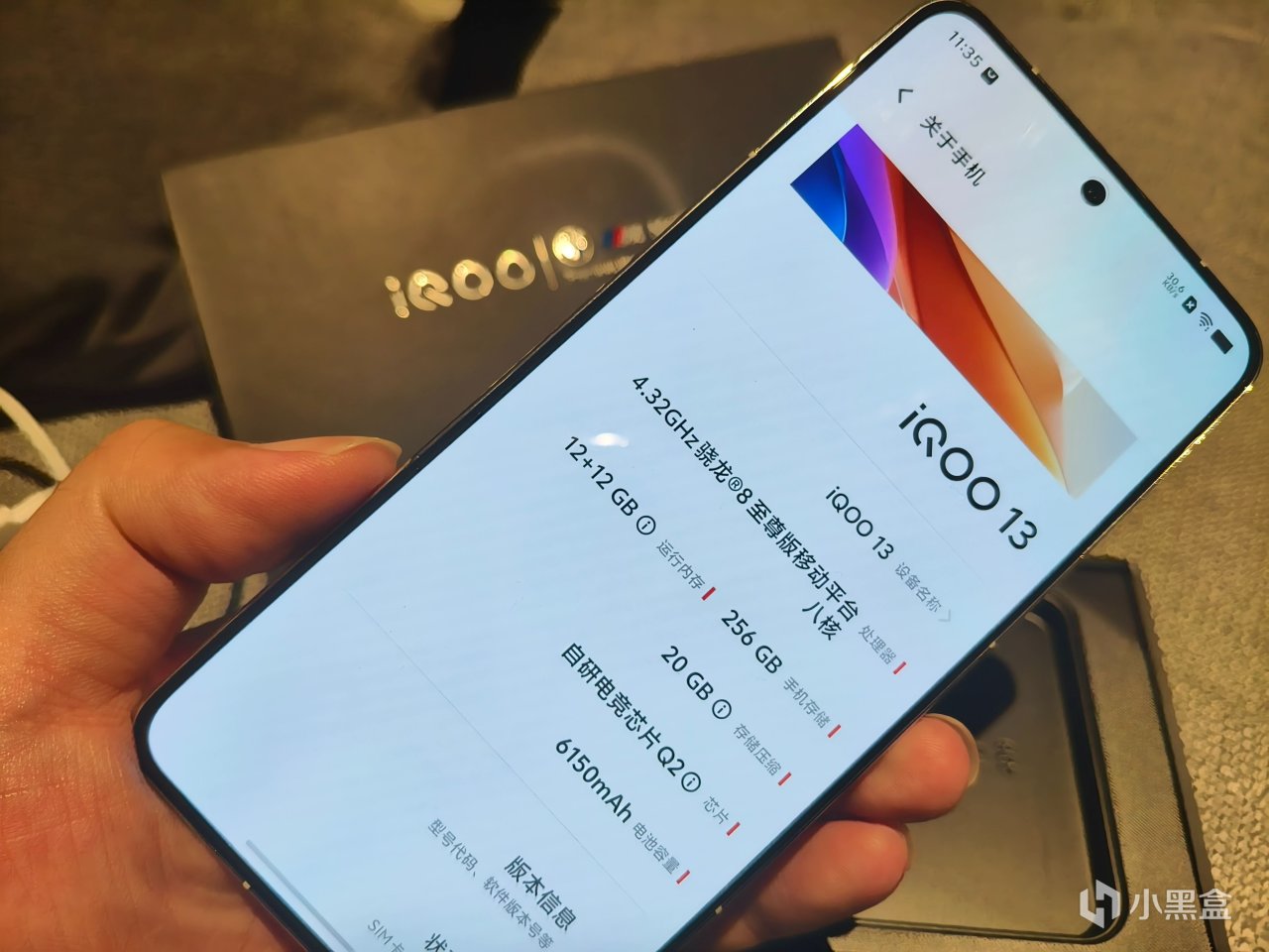 iQOO13如何获得张大仙的青睐？-第0张