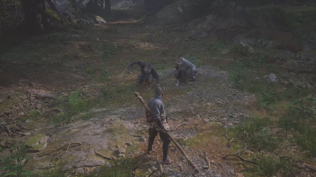 PS5 PRO《黑神话：悟空》运行视频曝光