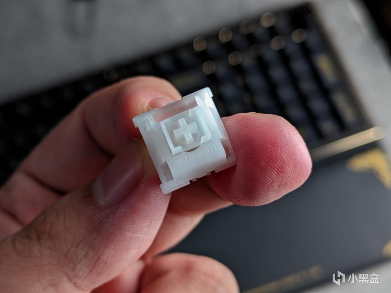 男人何时才能拒绝黑金、皮质刺绣和金属的诱惑—蝙蝠骑士 live100