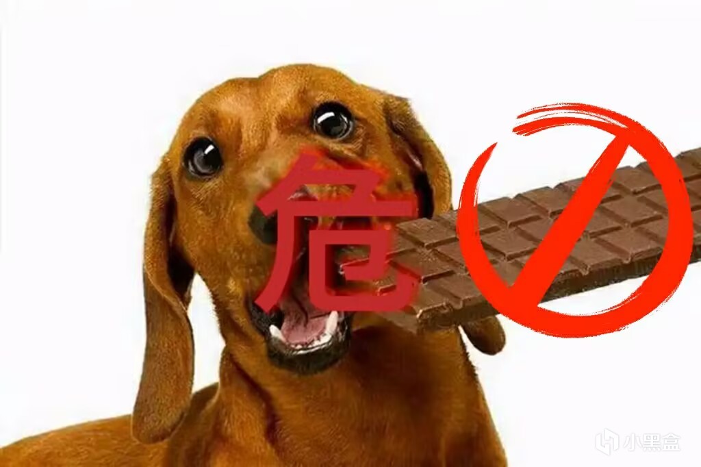 養寵小知識|主人需要了解的常識|犬不能吃什麼？怎麼量體溫？-第0張