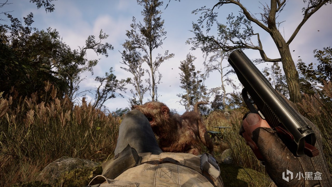 12块/h的4070s玩千恋万花，我为玩潜行者2付出了太多