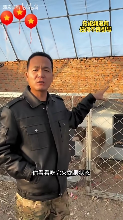 【球盟会】潘宏园区的