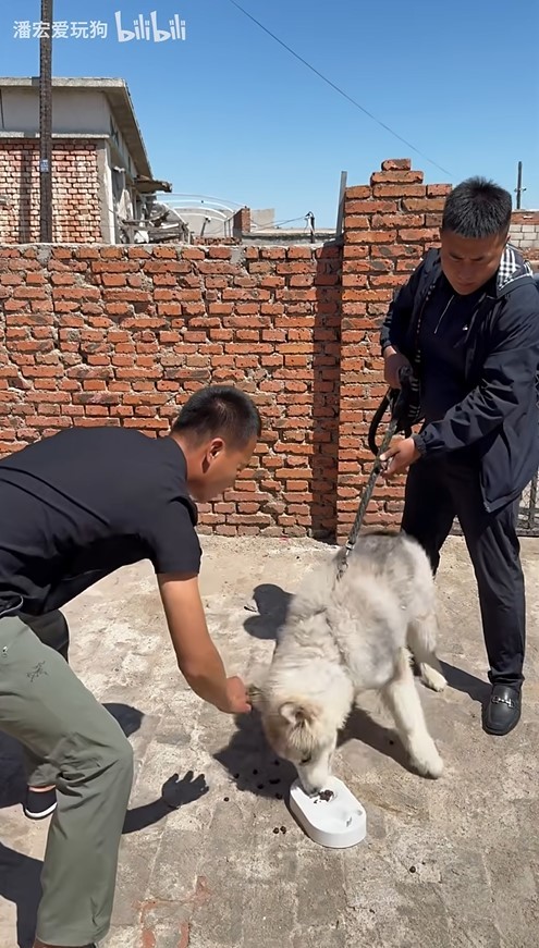 【球盟会】潘宏园区的