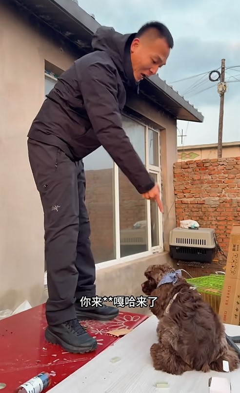 【球盟会】潘宏园区的