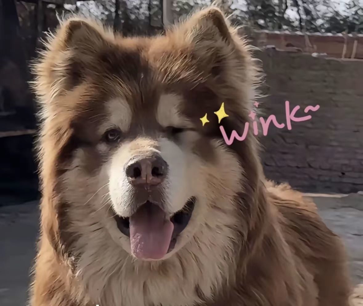 【球盟会】潘宏园区的