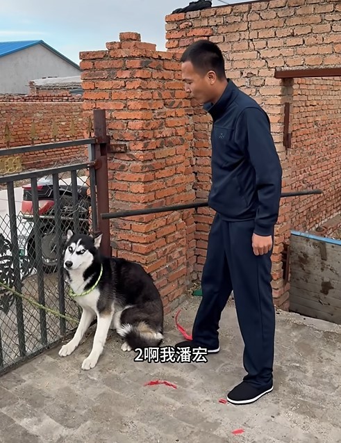 【球盟会】潘宏园区的