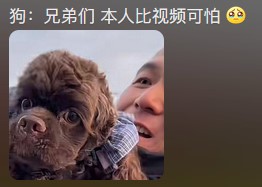 【球盟会】潘宏园区的