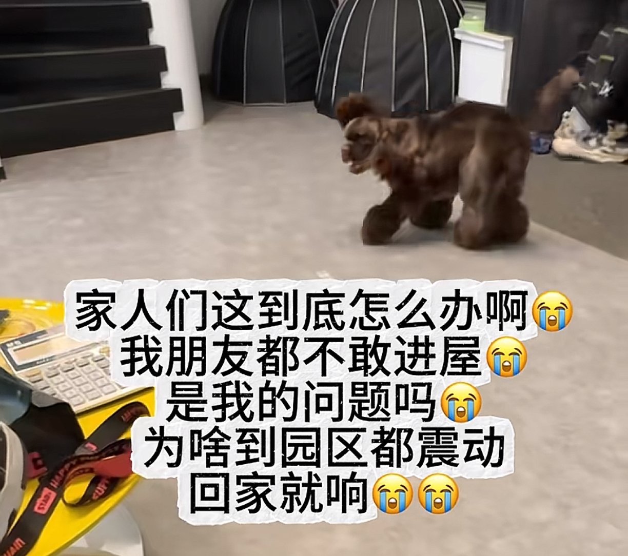 【球盟会】潘宏园区的