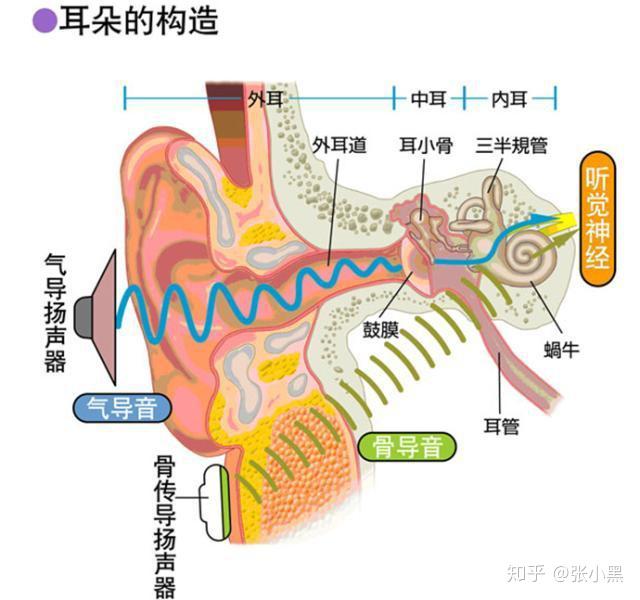 开放式耳机的原理是什么？平价高性价比开放式蓝牙耳机评测-第2张