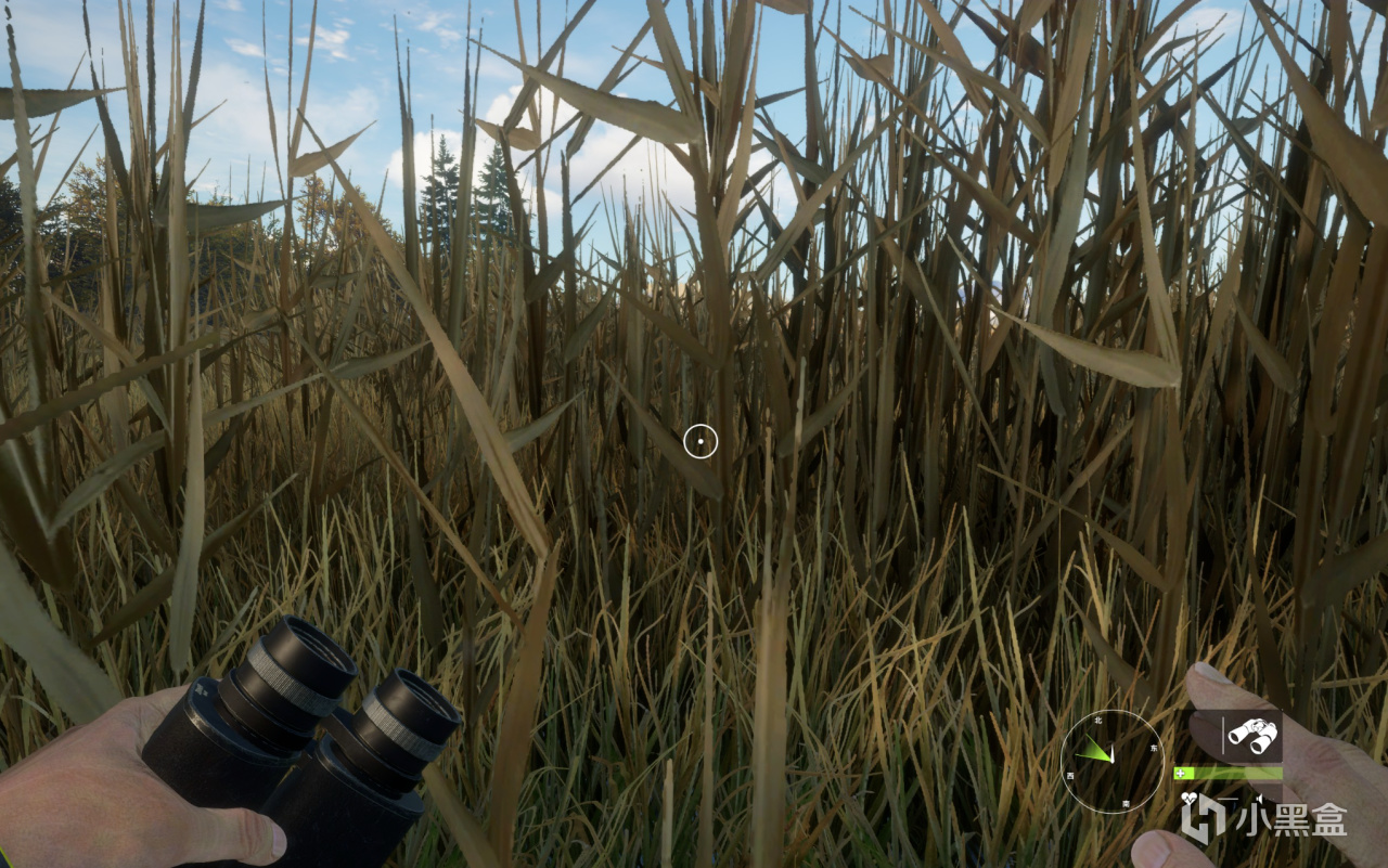 【球盟会】秋促只要个位数，一包烟一杯茶一个猎物狩一天，它真有这么好玩？