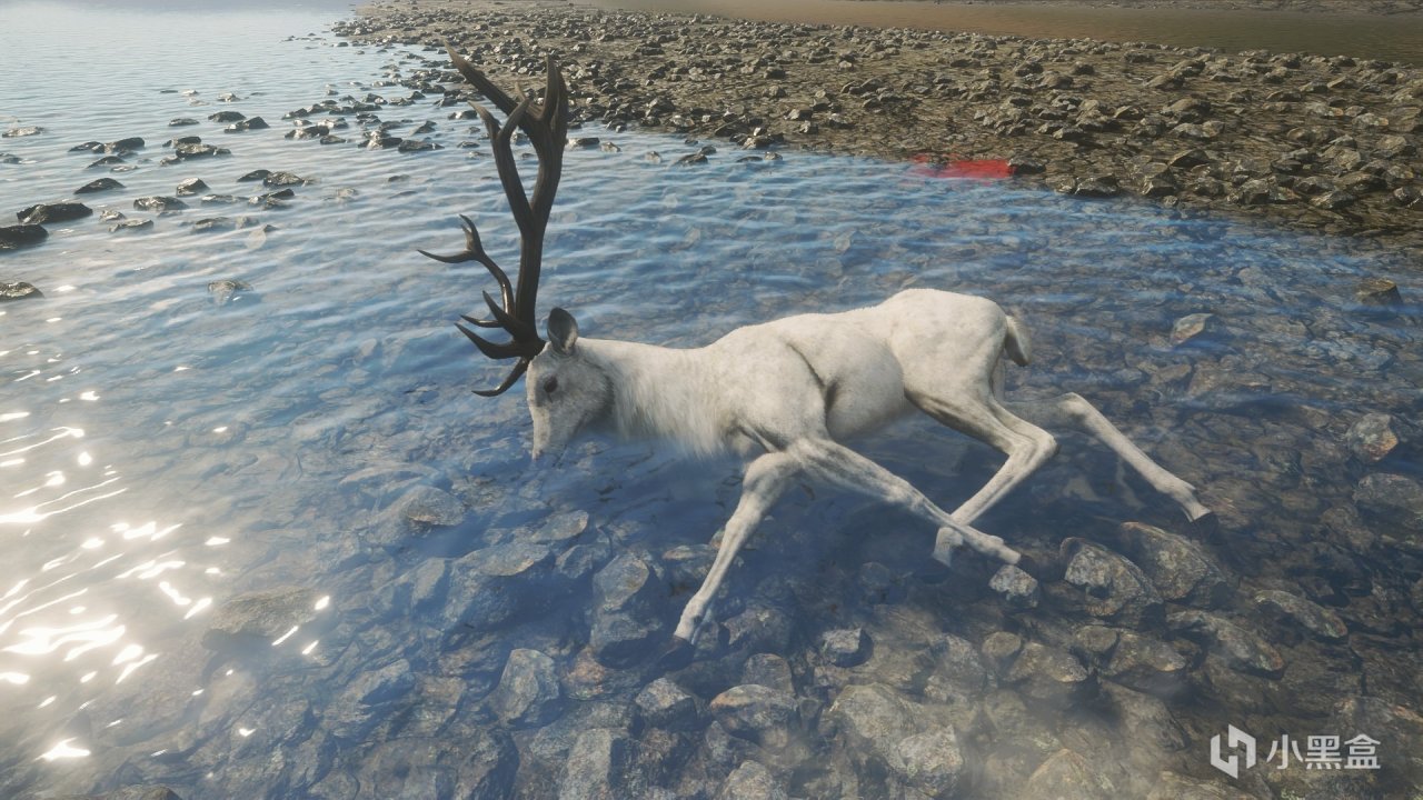 猎人:荒野的召唤值7块吗？关于荒野的召唤你应该知道的一些事