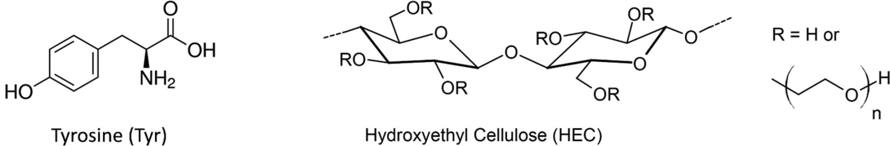 科学家研制出能被细菌轻易分解的超强环保塑料-第2张