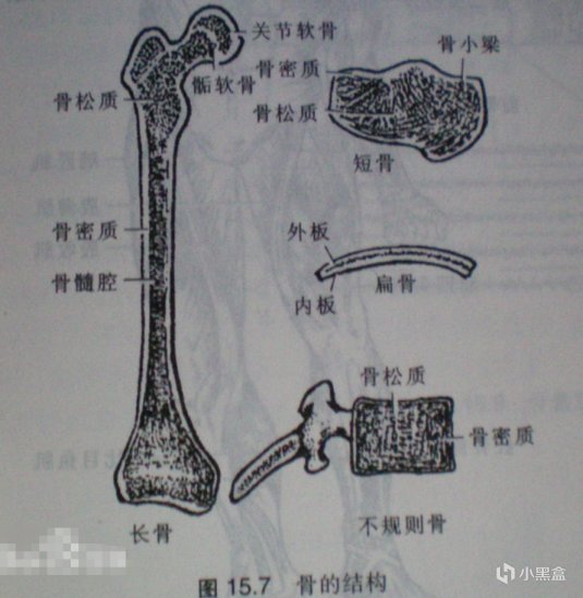 【医学科普】简单聊聊关于身高-第1张