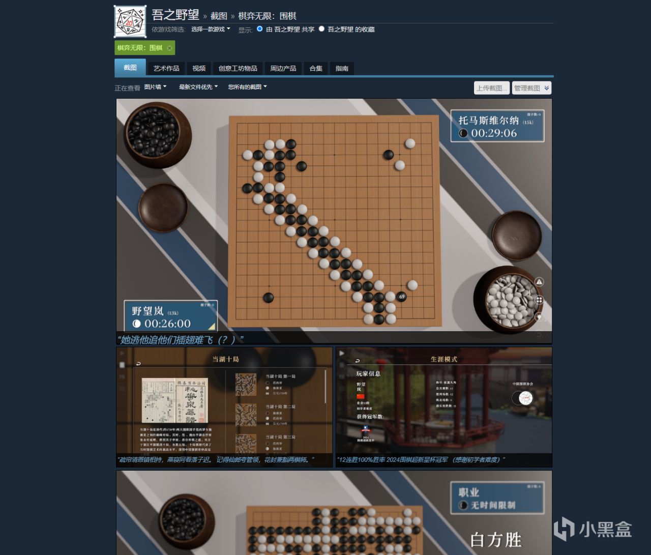 评《棋弈无限：围棋》 / 谈AI时代的围棋——最优解使游戏僵化-第1张